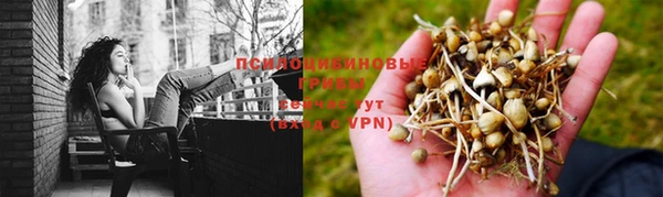 таблы Алзамай